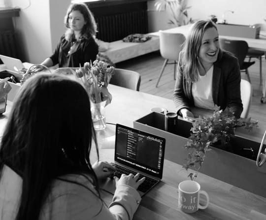 workers working with laptop